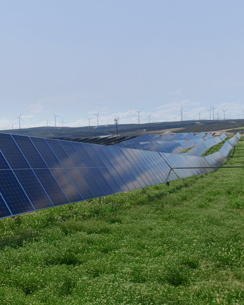 FACTIUN TRX double-row solar trackers installed on natural terrain